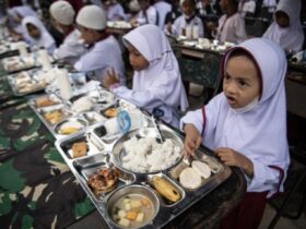 Anggaran Makan Siang Gratis Realistis, Efektif, dan Berdampak Nyata bagi Masyarakat