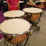 Alat Musik Ritmis Adalah: Pengertian, Fungsi, Contoh, dan Cara Memainkannya