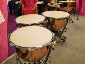 Alat Musik Ritmis Adalah: Pengertian, Fungsi, Contoh, dan Cara Memainkannya