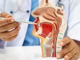 Sistem Pencernaan yang Melakukan Gerak Peristaltik Pertama Adalah: Penjelasan Lengkap dan Mudah Dipahami