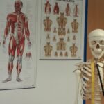 Untuk Apa Tubuh Kita Memiliki Rangka, Sendi, Otot, dan Saraf? Ini Penjelasan Lengkapnya