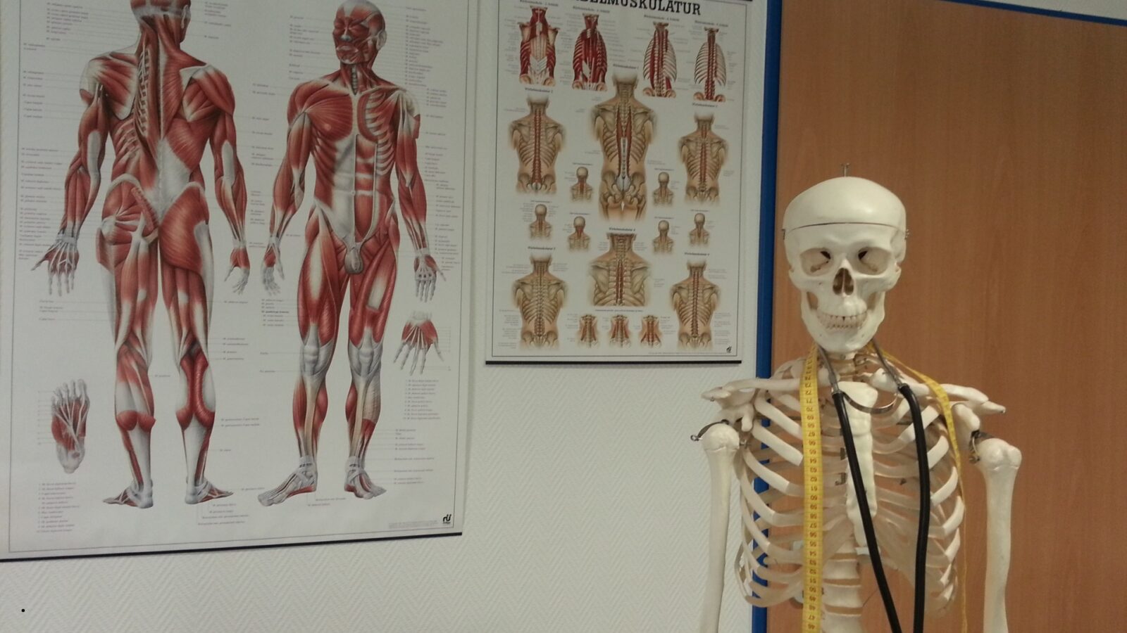 Untuk Apa Tubuh Kita Memiliki Rangka, Sendi, Otot, dan Saraf? Ini Penjelasan Lengkapnya