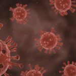 Virus Baru: Apa yang Perlu Kita Ketahui tentang Ancaman Kesehatan di Era Modern