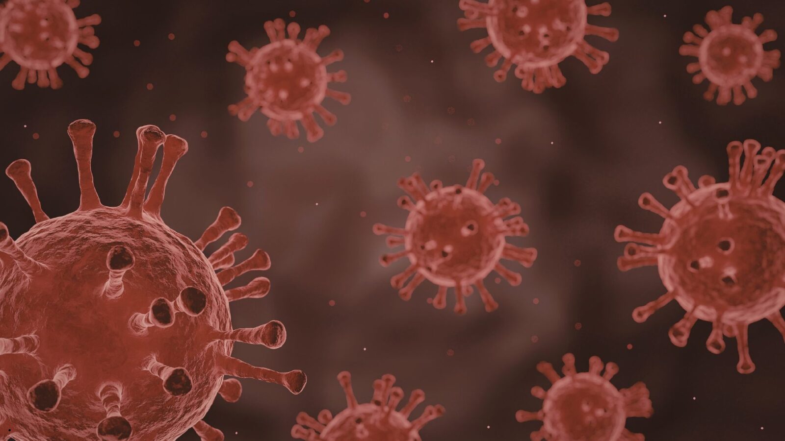 Virus Baru: Apa yang Perlu Kita Ketahui tentang Ancaman Kesehatan di Era Modern