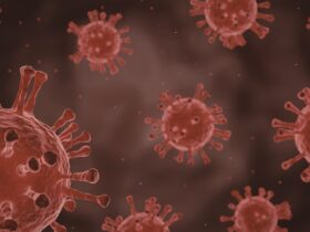 Virus Baru: Apa yang Perlu Kita Ketahui tentang Ancaman Kesehatan di Era Modern