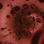 Peredaran Darah Besar dan Kecil: Pengertian, Proses, dan Cara Kerjanya dalam Tubuh