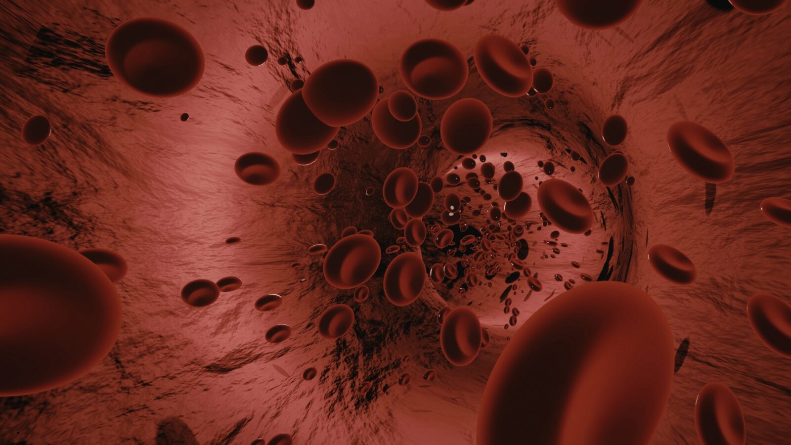 Peredaran Darah Besar dan Kecil: Pengertian, Proses, dan Cara Kerjanya dalam Tubuh