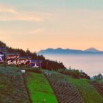 Wisata Puncak Bintang Bandung Tempat Terbaik Menikmati City Light dan Alam Malam