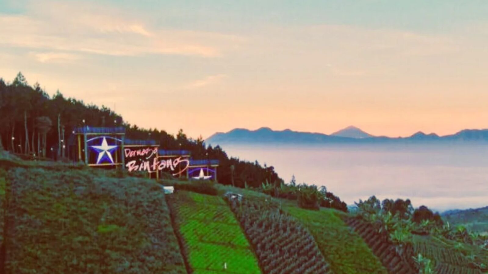 Wisata Puncak Bintang Bandung Tempat Terbaik Menikmati City Light dan Alam Malam
