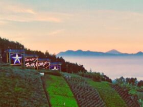 Wisata Puncak Bintang Bandung Tempat Terbaik Menikmati City Light dan Alam Malam
