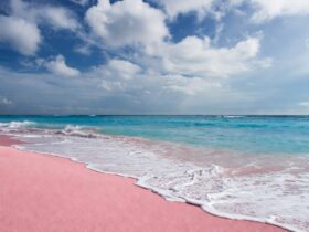 Pantai Pink Lombok Keindahan Alam, Lokasi dan Tips Berkunjung