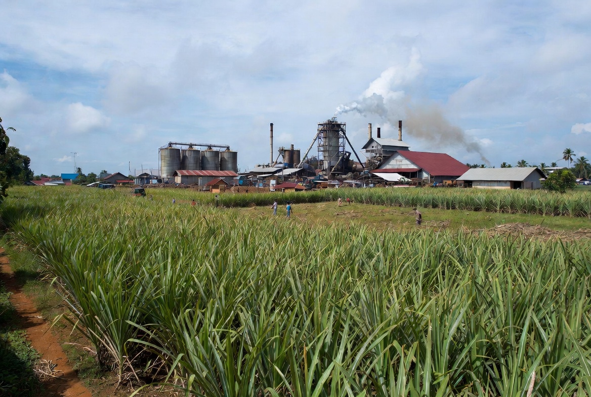 PT Sugar Labinta: Profil Perusahaan dan Aktivitas di Industri Gula
